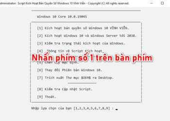 Tải và cài đặt AIO Tools Full bản cập nhật 2024 [Mới nhất]